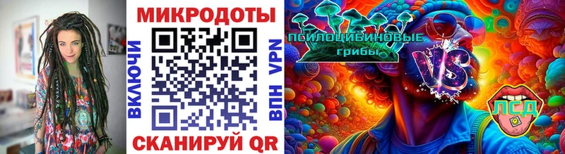где купить наркотик  Торопец  Галлюциногенные грибы Psilocybine cubensis 